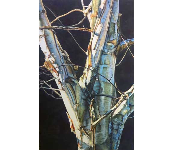 "Appealing Tree" by Beverly Fotheringham